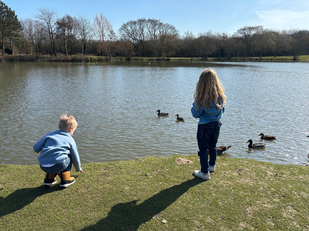 Swanley Park景点图片