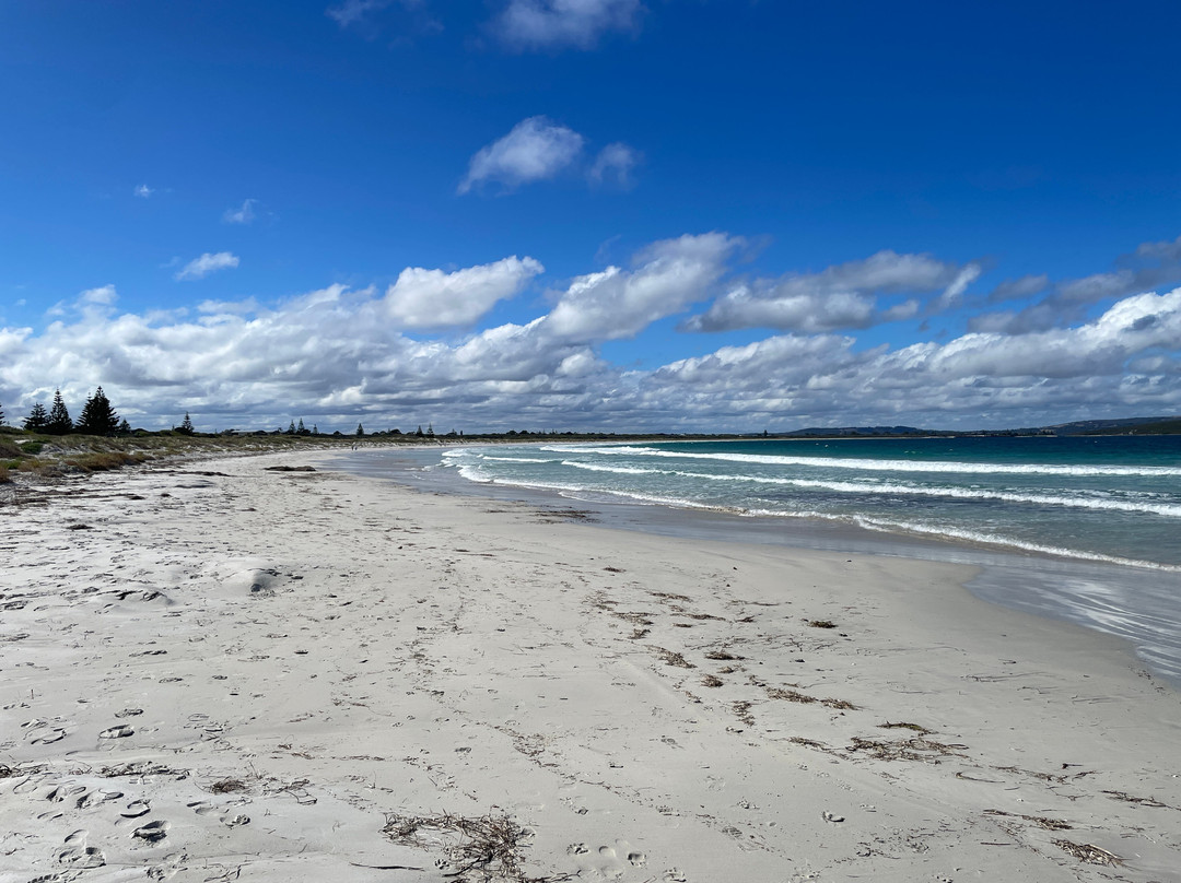 Middleton Beach-奥尔巴尼必去景点