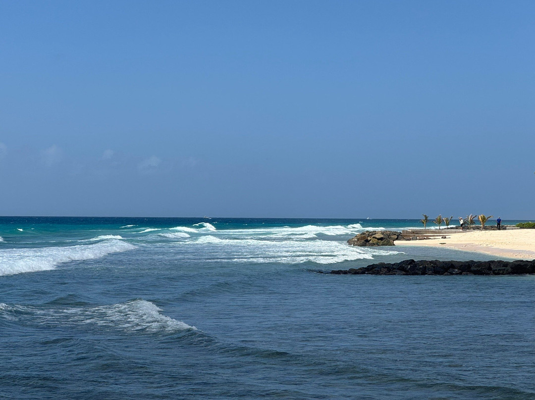 Hastings Beach-Hastings必去景点