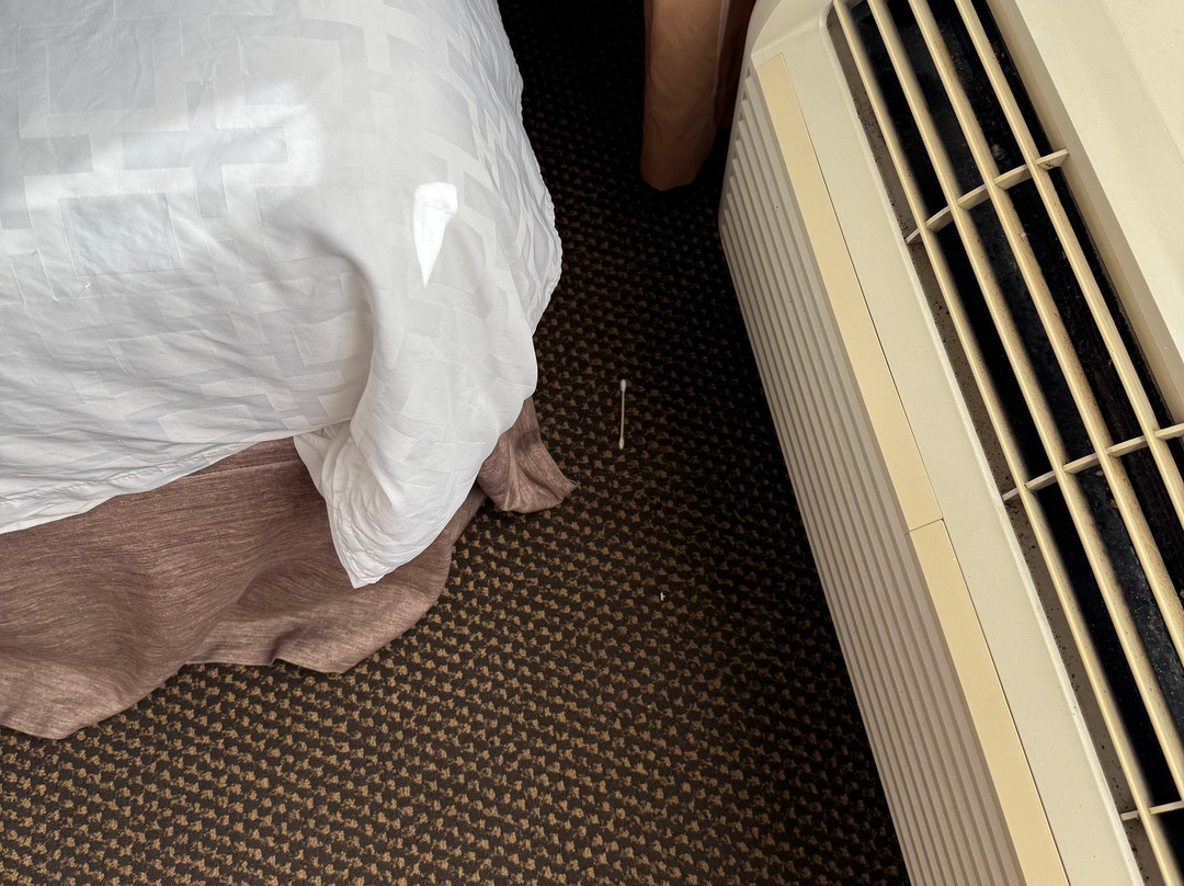 新伊比利亚烛木套房酒店主图