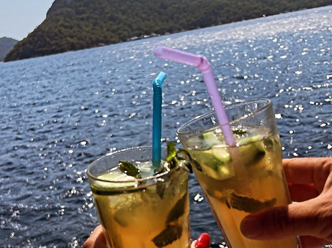 Falcon 1-戈西克必去景点