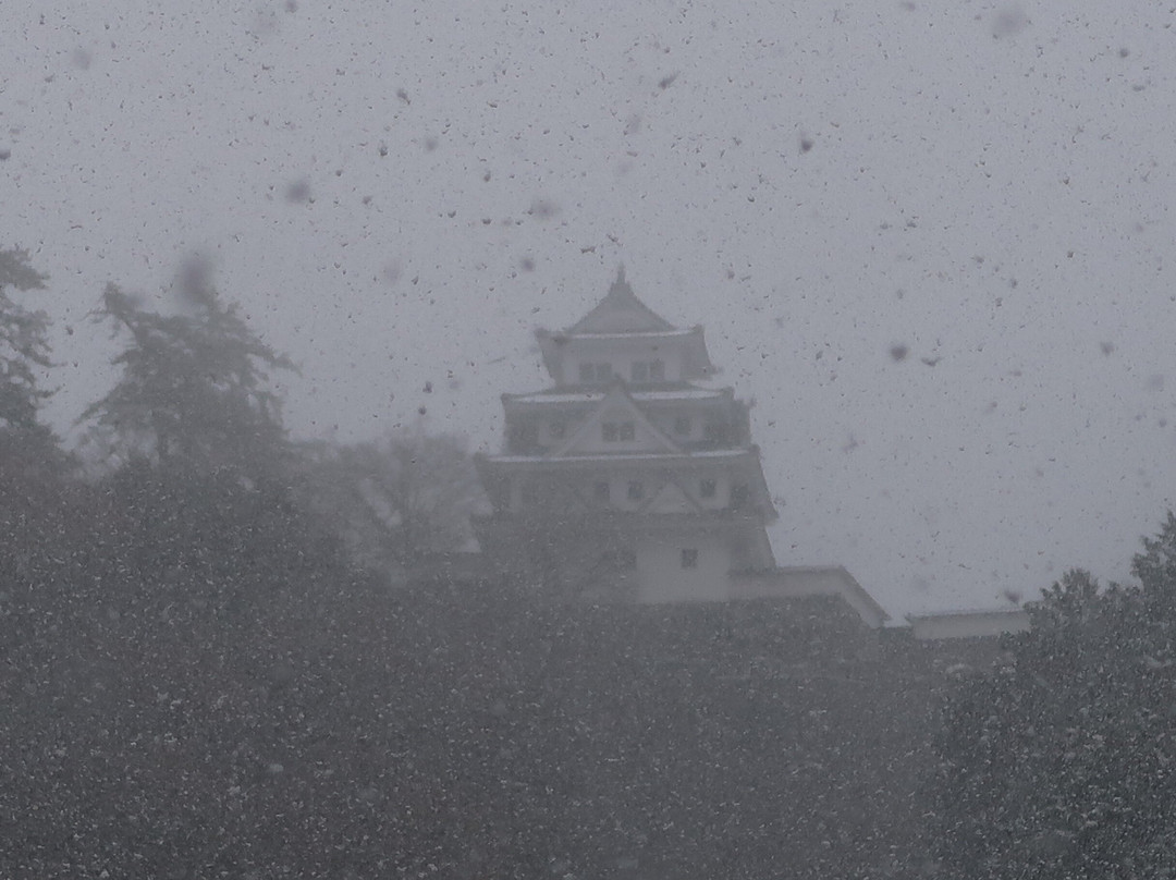 Gujo Hachiman Castle Town-郡上市必去景点