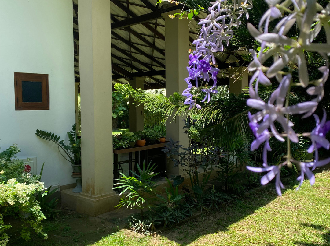 Tangalle Green House主图