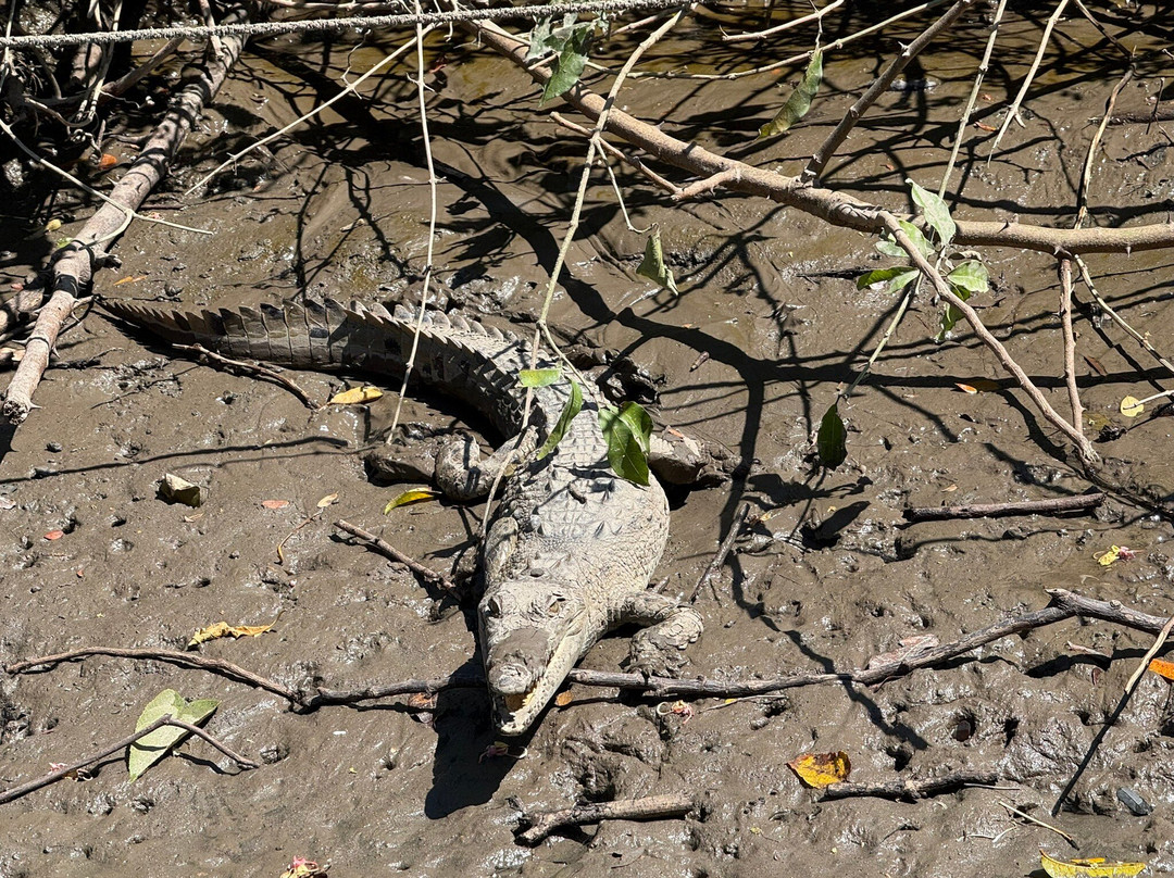 Guanacaste Traveler-Filadelfia必去景点
