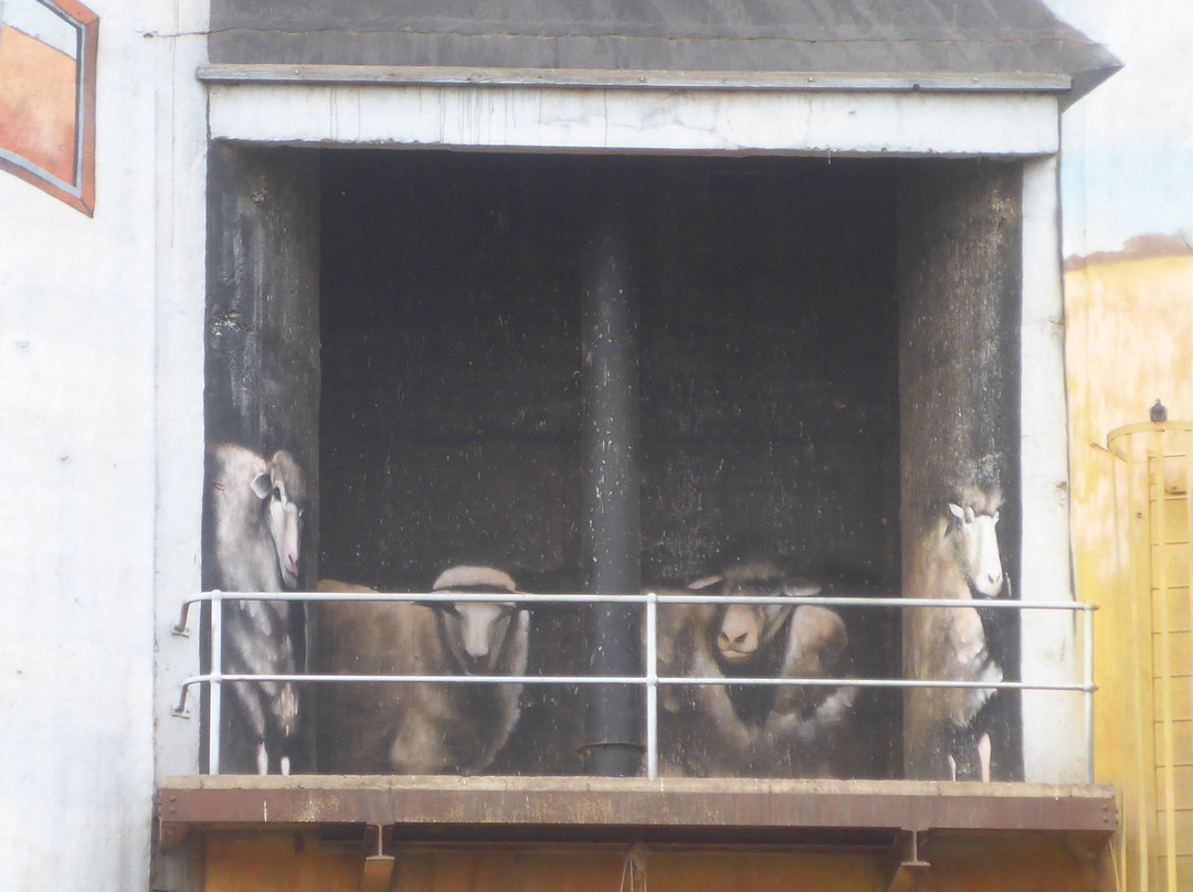 Weethalle Silo Art-Weethalle必去景点