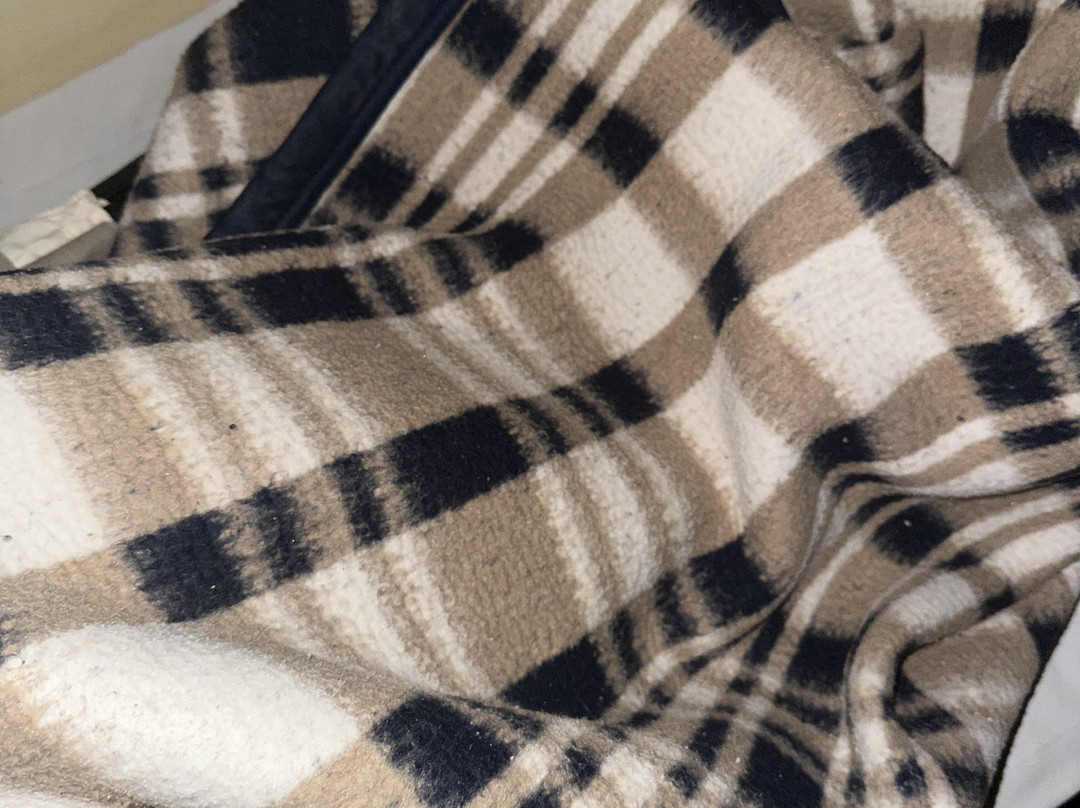 Hotel Eco da Floresta主图