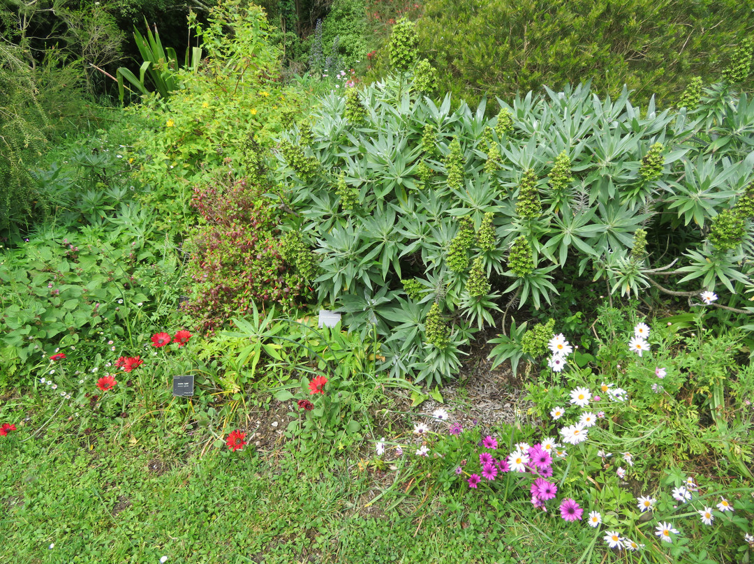 Jardin La Laurisylve景点图片