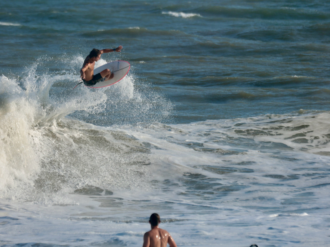 Charleston Surf Co.-福利比奇必去景点