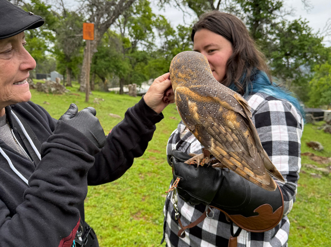 West Coast Falconry-Marysville必去景点