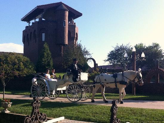 Castle Unicorn主图