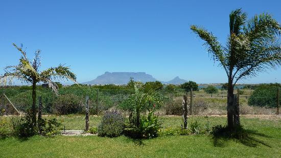 Cape Oasis Guesthouse主图