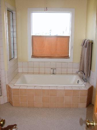 A White Texas Pelican主图