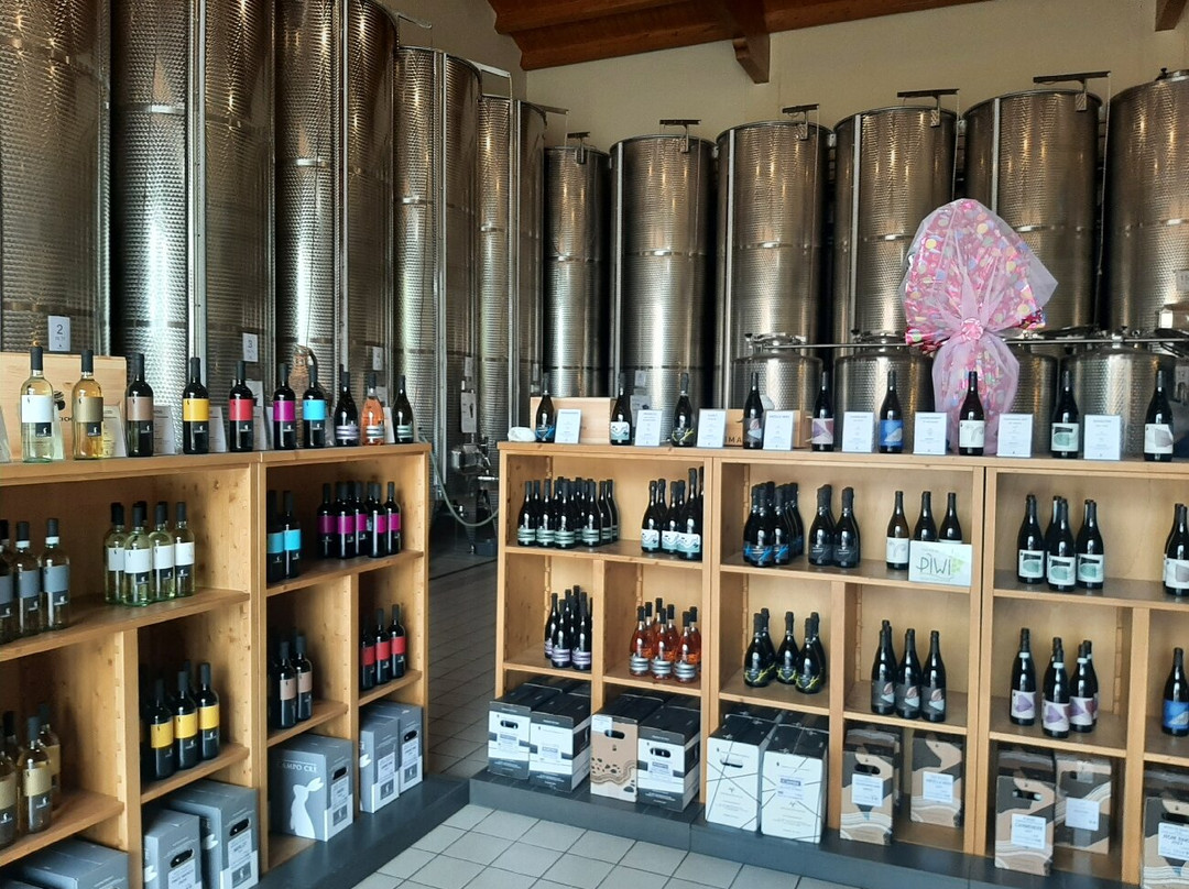 Casa Baccichetto Azienda Agricola景点图片