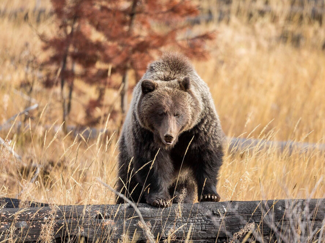 Banff Hidden Gem Hiking Tours