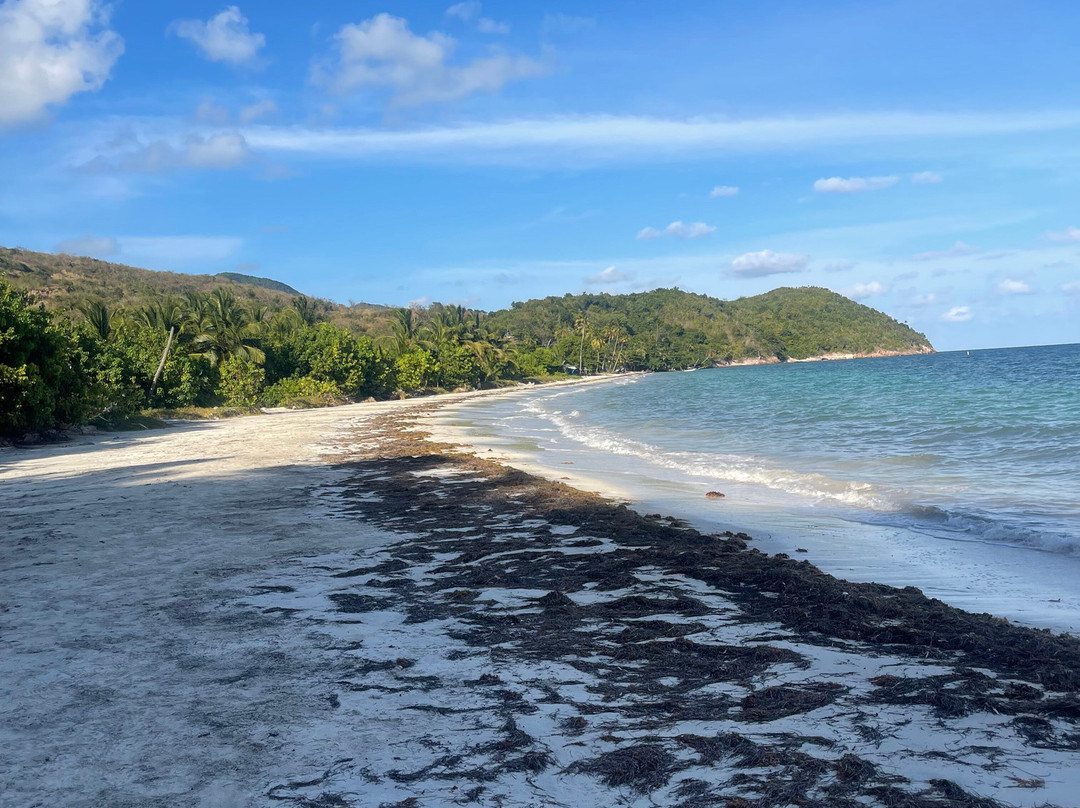 Playa Manzanillo景点图片