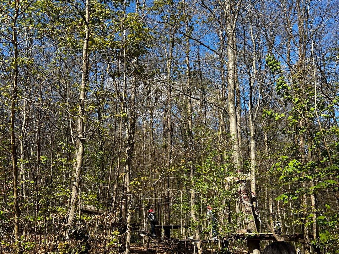 Kletterwald Neroberg-威斯巴登必去景点