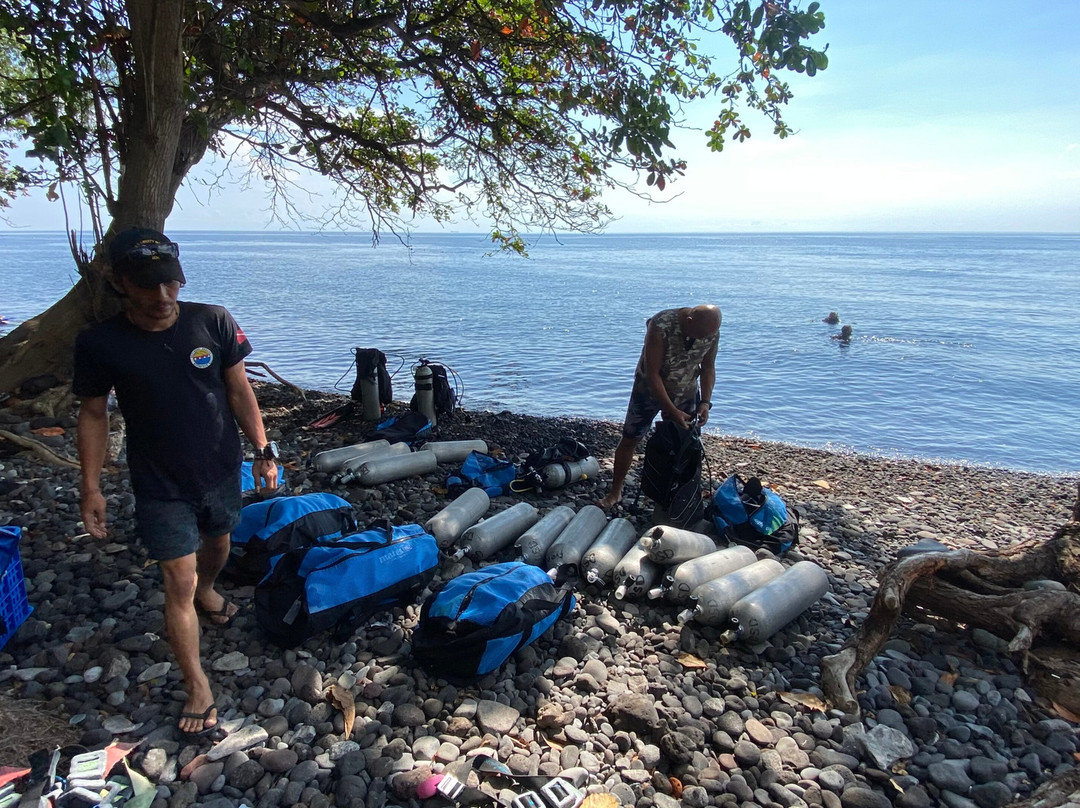 Southern Dreams Diving Club景点图片