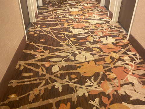 东南斯普林菲尔德欢朋酒店主图