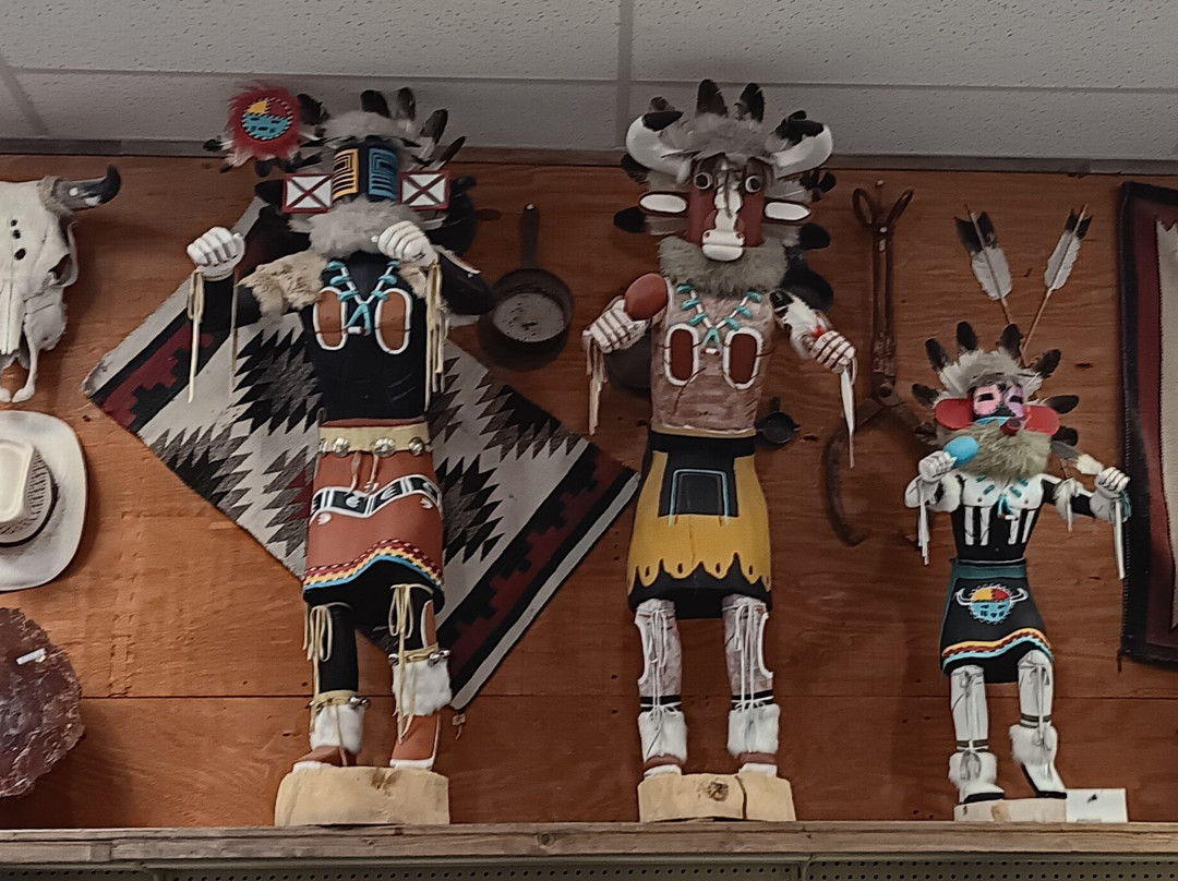 Jim Gray's Petrified Wood Co.-霍尔布鲁克必去景点