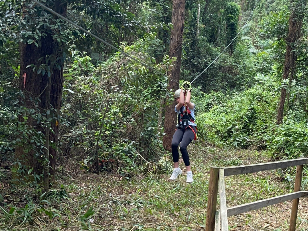 TreeTop Challenge景点图片