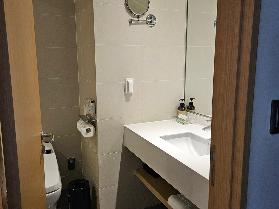 东大门阿里郎希尔酒店主图