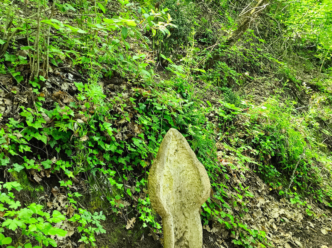 Opera Bosco - Museo di Arte nella Natura-Calcata必去景点