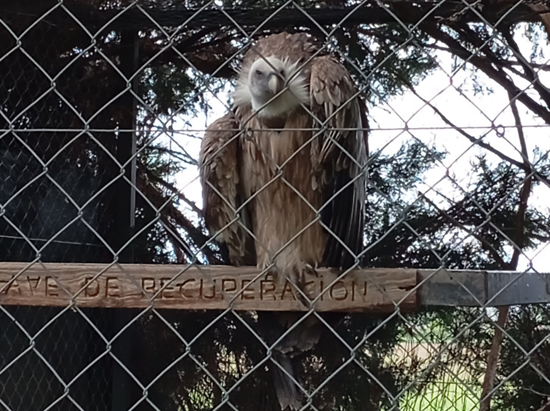 Parque Zoológico Riojanatura景点图片