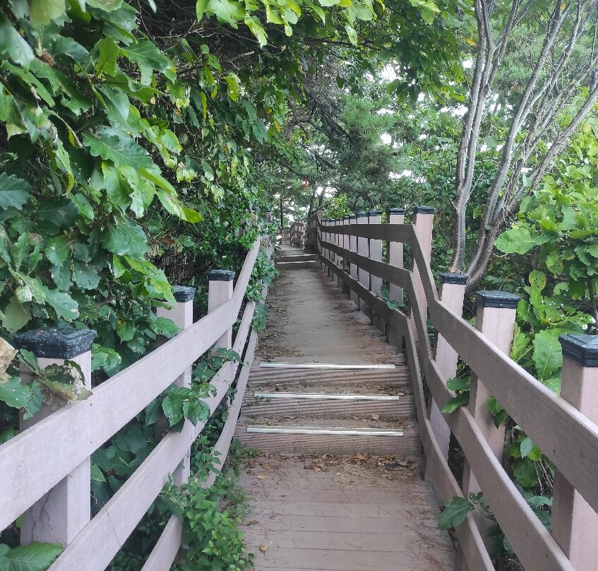 Igidae Park-釜山必去景点