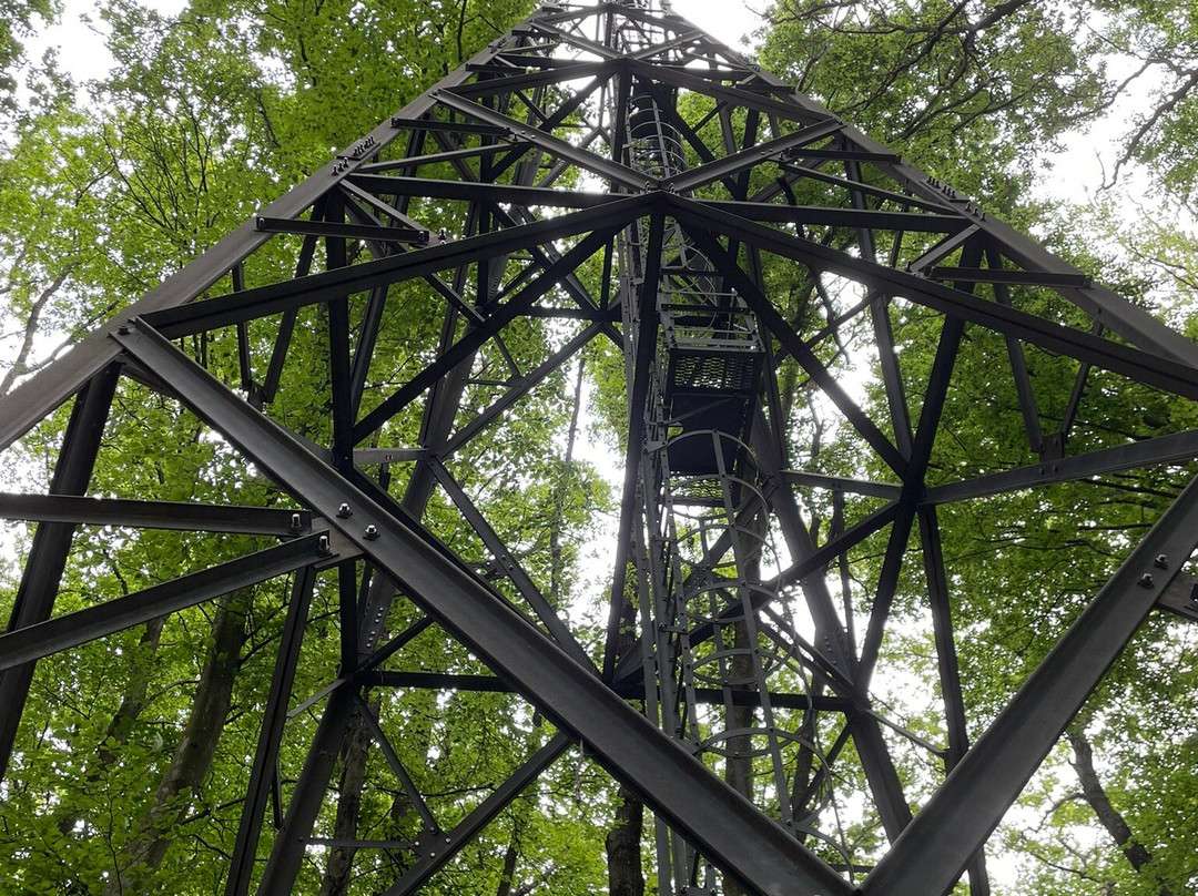 La Faggeta Di Oriolo Romano-Oriolo Romano必去景点