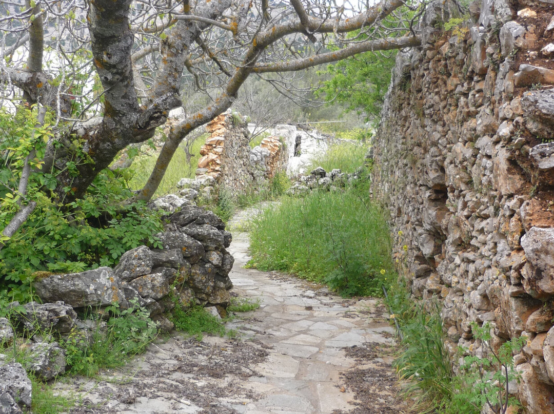 Guesthouse Alonia主图