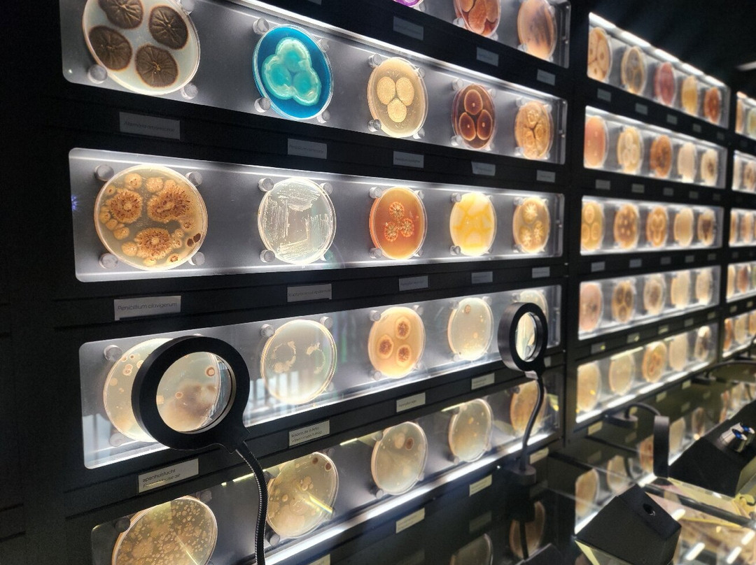 微生物博物馆景点图片