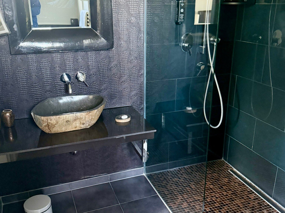 莱茵布里克别墅酒店主图