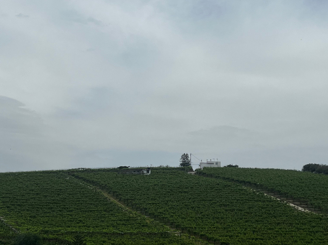 Kriti Allios | Κρήτη Αλλιώς-伊拉克利翁必去景点