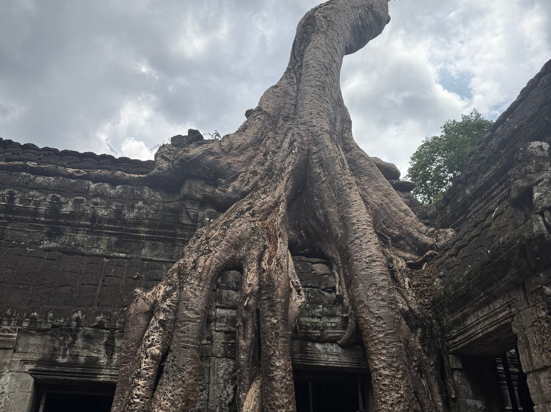 Angkor Guide Drivers-暹粒必去景点