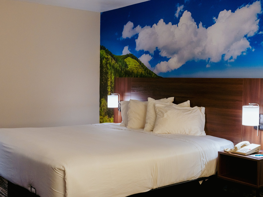 迪拉德智选假日酒店主图