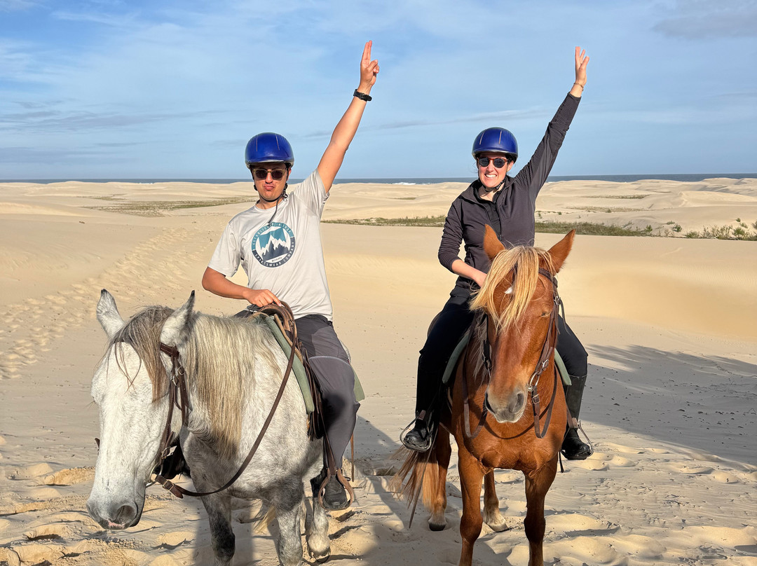 Papiesfontein Beach Horse Trails景点图片