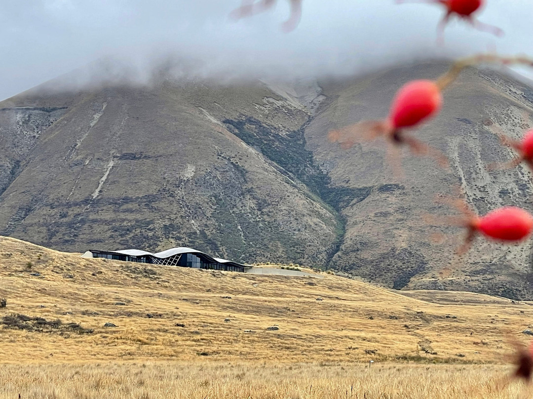 Makarora酒店住宿-The Lindis