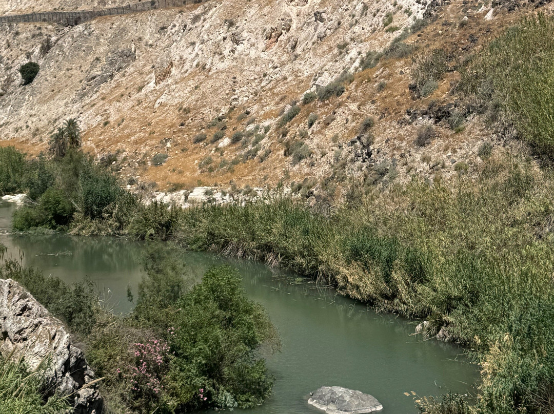 Milky Way logistics and tours