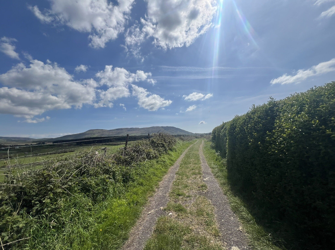 Wonderful Ireland Walking Tours-邓德拉姆必去景点