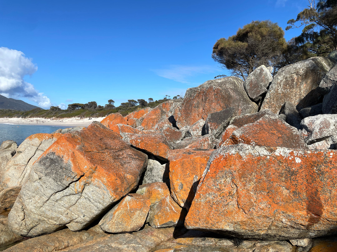 Wineglass Bay and Hazards Beach Circuit景点图片