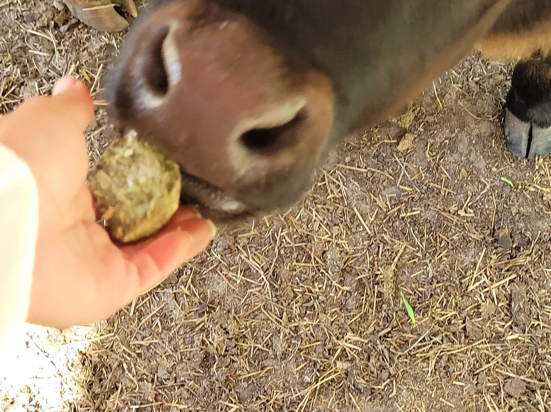 Priority Farm LLC-Sanford必去景点