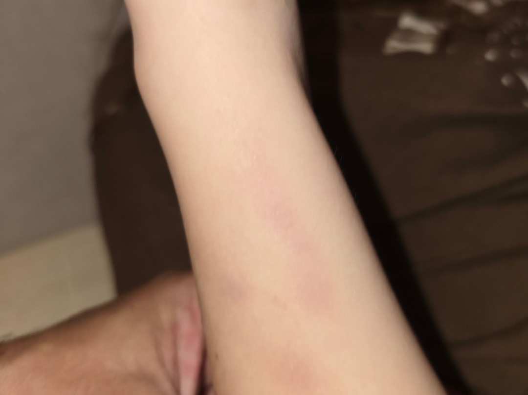 Hotel Atlantic主图