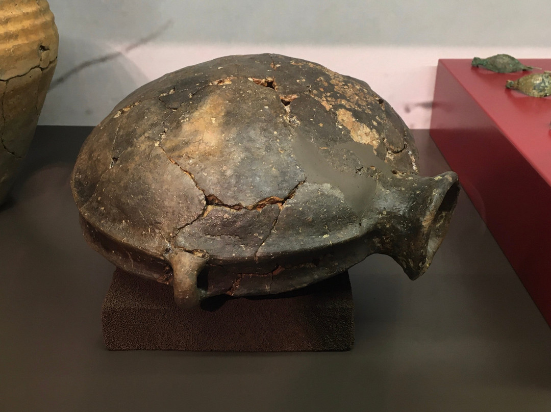Museum Of Villanovan Civilization景点图片