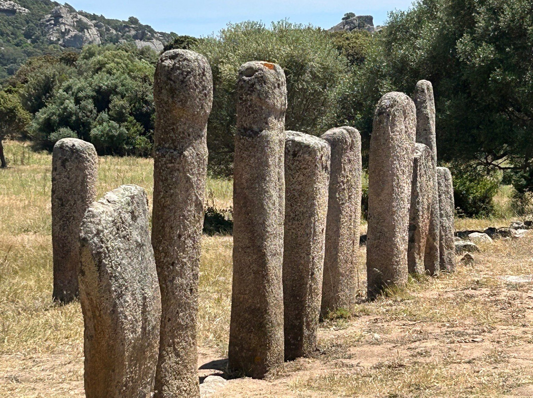 Megaliths of Cauria景点图片