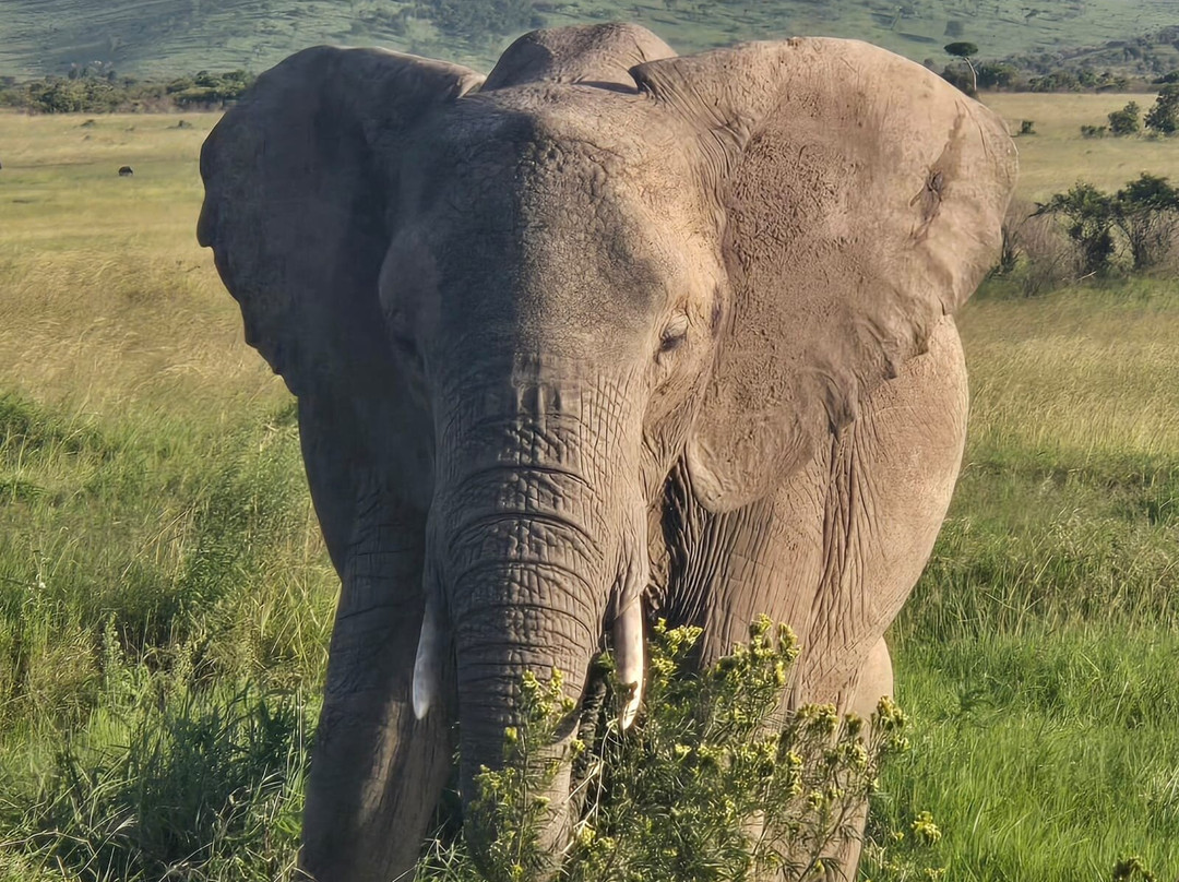 kibera holiday safaris-内罗毕必去景点