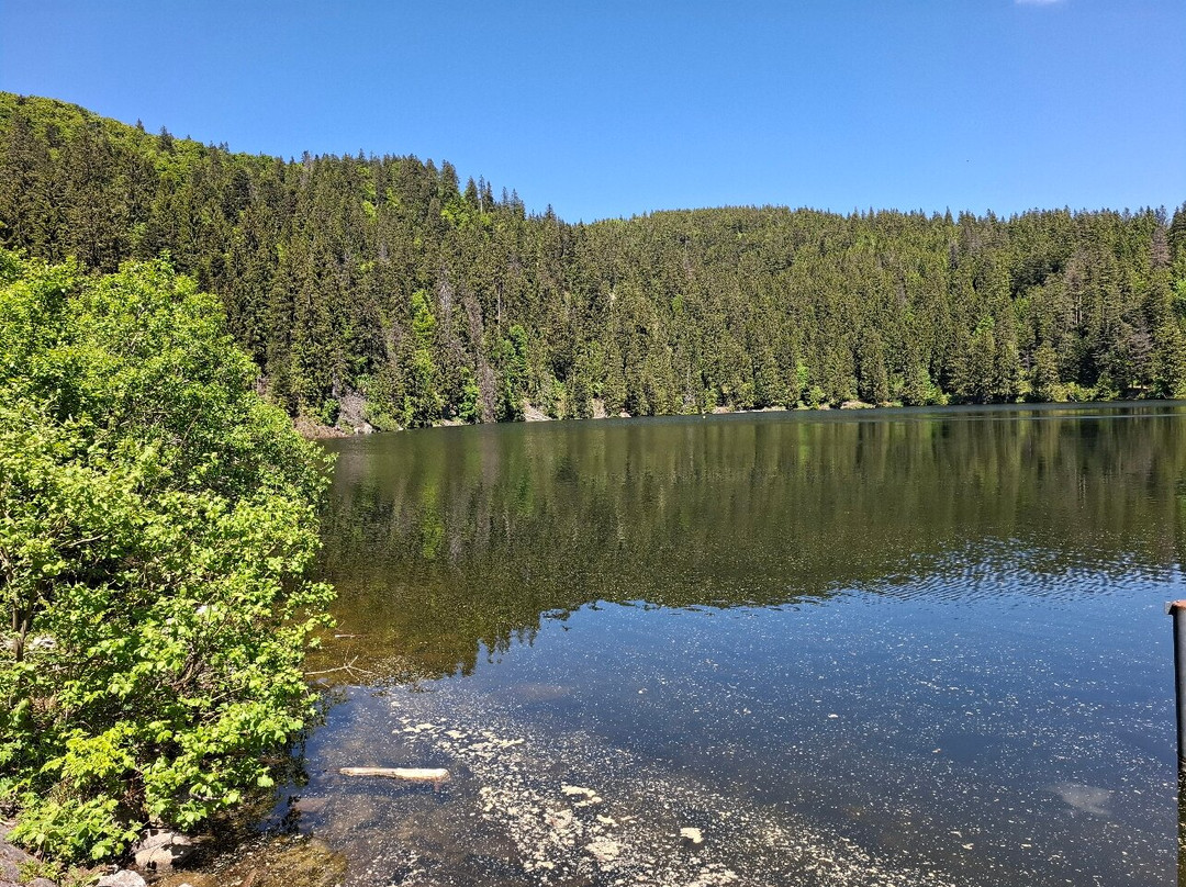 Le Lac Vert-Soultzeren必去景点