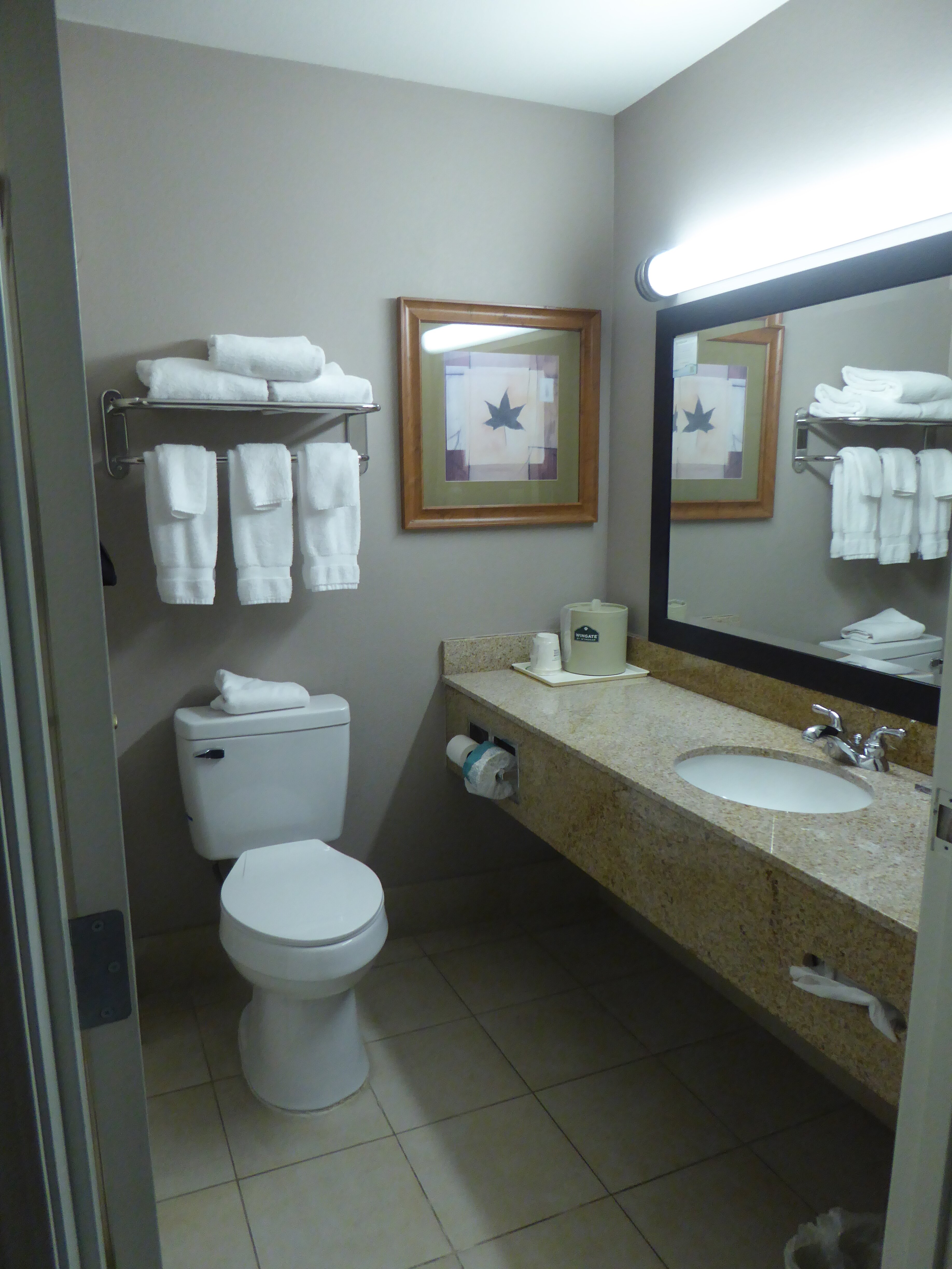 Wingate by Wyndham Bentonville Airport-浴室