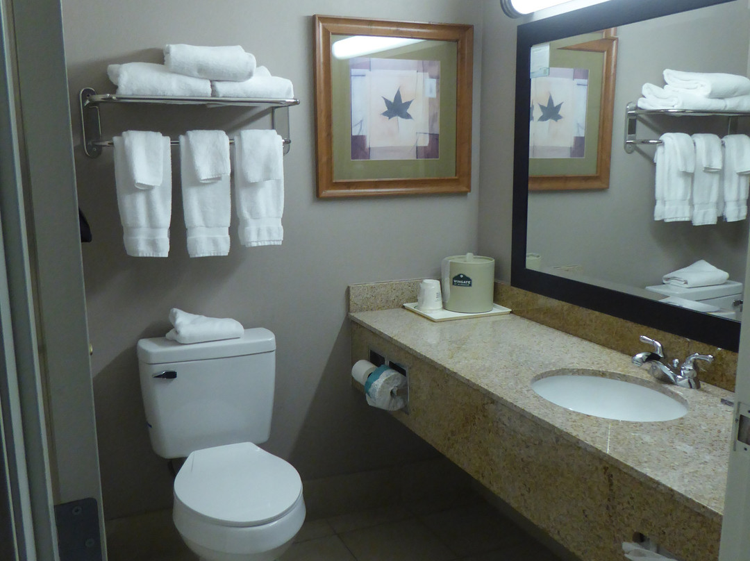 Wingate by Wyndham Bentonville Airport主图