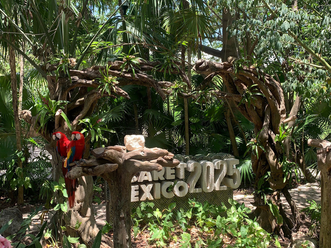 Hotel Xcaret Arte主图