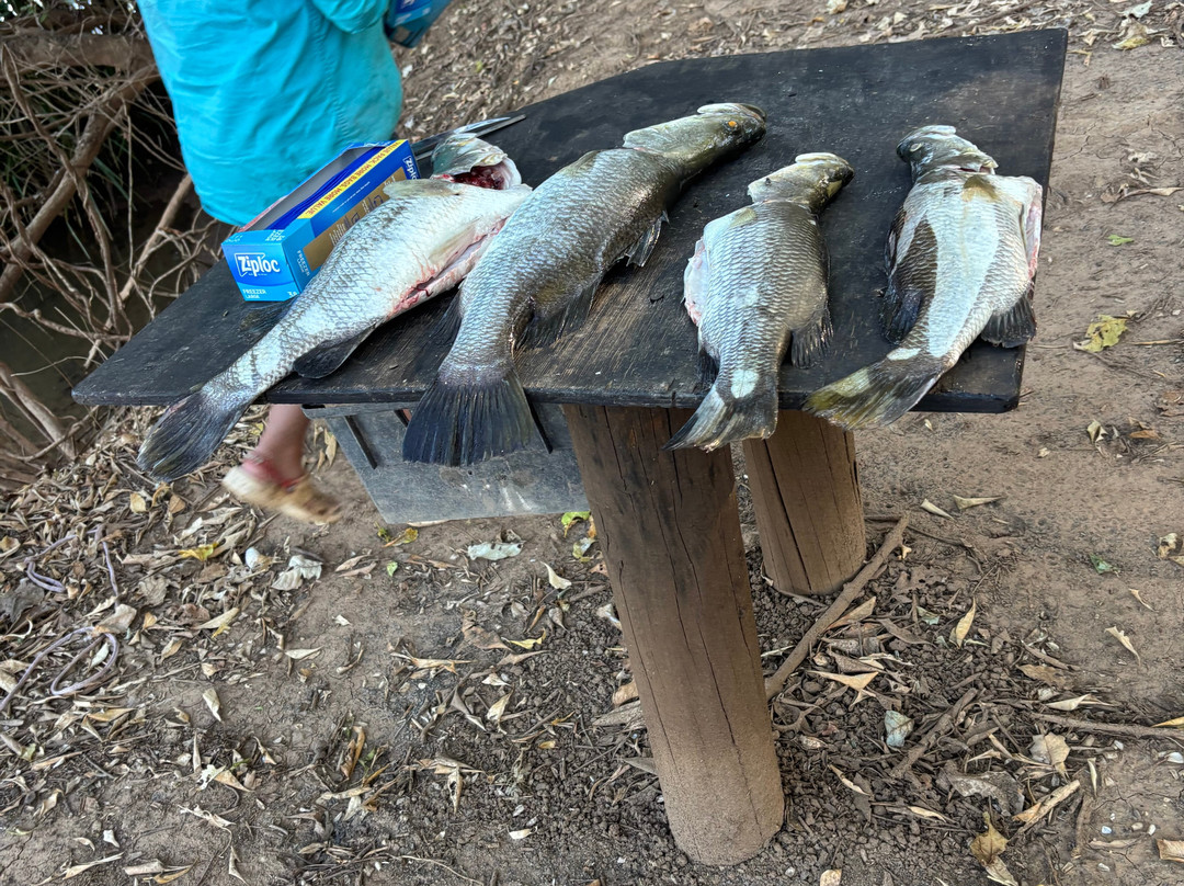 Mick's Fishing Adventures Karumba-Karumba必去景点